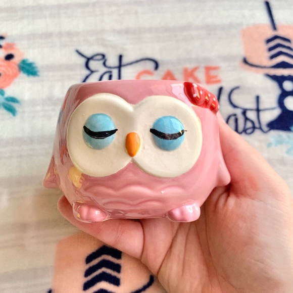 Other - 🦉 Pink Owl Succulent Planter 🦉